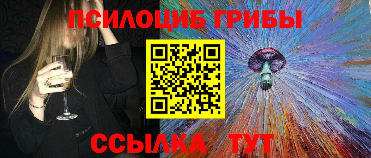 Псилоцибиновые грибы Psilocybine cubensis Рубцовск